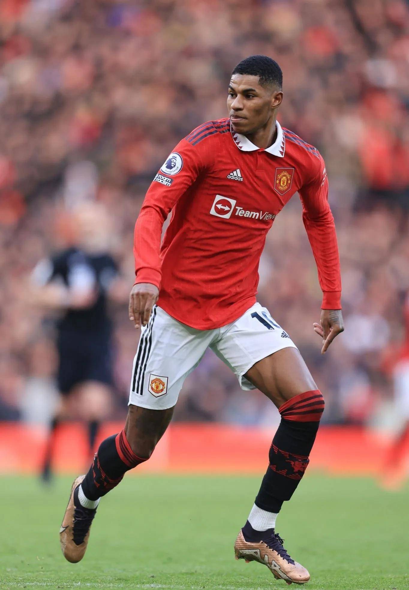 文章形成内 文章形成内